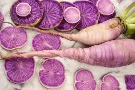 Radish (seeds) Pusa Jamuni, Tasty Purple Root Vegetable, Easy to Grow Fresh Edible Live Plant for Garden Container, Rare Gift for Gardener(10 Seeds)