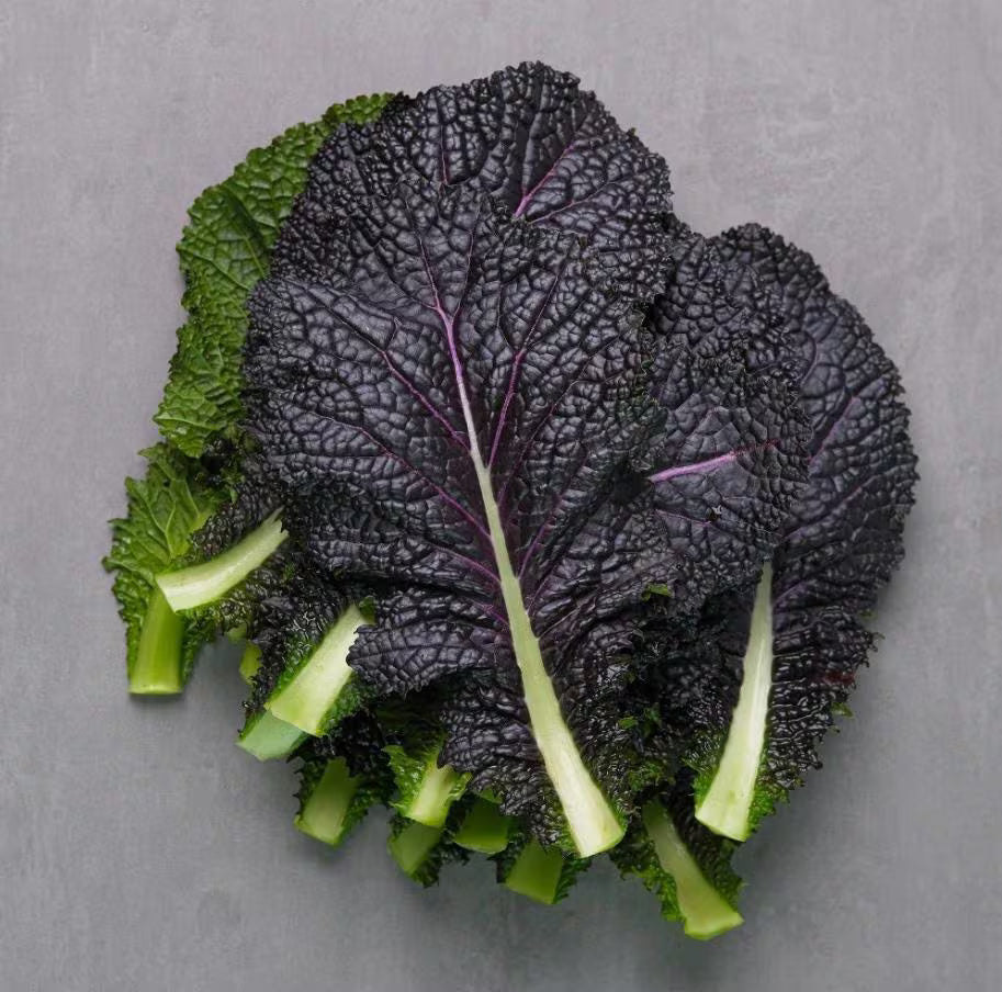 40/200/400 Seeds Red Mustard Seeds for Planting, Red Giant Mustard Seeds, Gai Choy Seeds(40 Seeds)