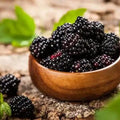 California Blackberry Seeds – Heirloom Fruit, Trailing Vine, Pacific Blackberry, Hardy and Easy to Grow | 20/100/200 Seeds(20 Seeds)