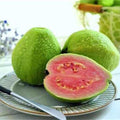 32/160/320 Taiwan Pink Guava Seeds – Exotic Tropical Fruit Variety(32 Seeds)