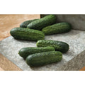 Excelsior Organic (F1) Hybrid Cucumber Seeds(20 Seeds)