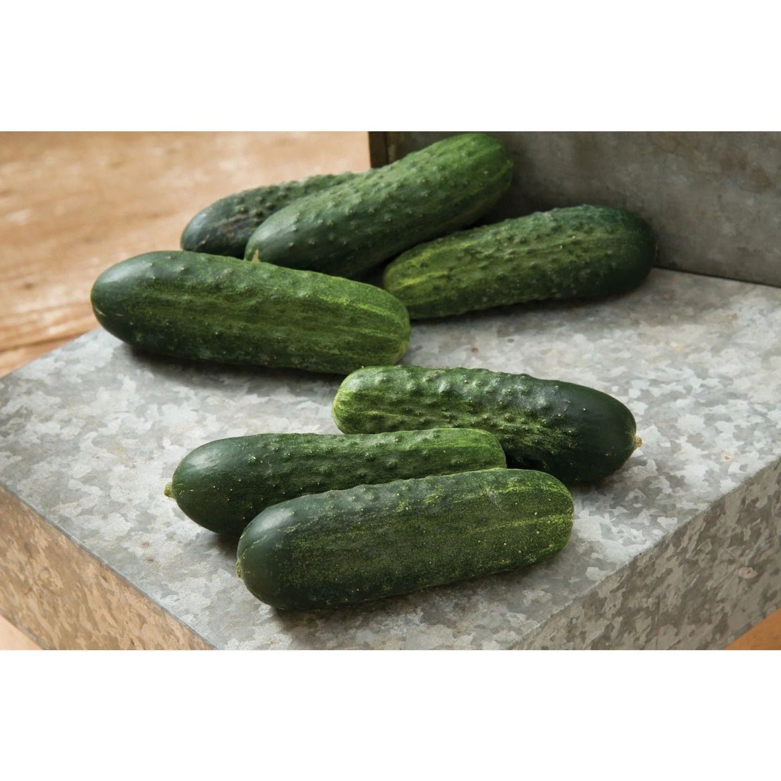 Excelsior Organic (F1) Hybrid Cucumber Seeds(20 Seeds)