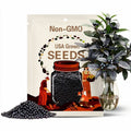 Black Pearl Hot Pepper Seeds, Edible Ornamental, Capsicum Annuum(4 Seeds)