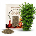 Winter Density Lettuce Seeds (Winter Gem) – 3450/6900/13800 Non-GMO  Heirloom Seeds, Lactuca Sativa, Crisp Romaine-Butterhead Hybrid, Cool Season Variety, by Isla’s Garden Seeds, Gift Idea for Home Gardens(3450pcs)