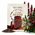 Crimson Flowered Fava Beans, Certified Organic Heirloom Seeds Rare Fava Seeds Grown in USA Cover Crop Make Beaded Bracelets Beaded Necklaces(2 Seeds)
