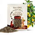 2/10/20PCS Meyer Lemon Seeds Delicious Fruit Citrus Fruit Garden Tree Seeds Heirloom(2pcs)