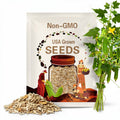 6/30/60| Luffa Aegyptiaca Seeds – Smooth Luffa – Sponge Gourd – Egyptian Cucumber – Vietnamese Luffa – Vegetable Seeds – Easy Grow #New 5-3(6 Seeds)