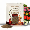 6/30/60+ Seeds | Itsy Bitsy Collection Dahlia Seeds, Compact Colorful Blooms, Easy to Grow Garden Flowers, Long Lasting Cut Flower(6 Seeds)