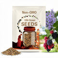 Native California Blackberry Seeds, Pacific Blackberry, Trailing Blackberry(20 Seeds)