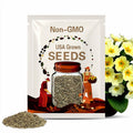 Primula Vulgaris - Common Primrose  seed(5 Seeds)