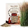 Perennial Farm Marketplace Calamagrostis a. 'Karl Foerster' (Feather Reed) Ornamental Grasses, Size-#1 Container, Yellow Spikes(6 Seeds)