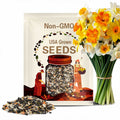 20/100/200 Mixed Daffodil Bulbs – Bulk Pack of Spring Narcissus | Easy Fall Planting, Deer Resistant, Cold Hardy, Naturalizing Perennial Flowers(20 Seeds)