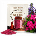 Hot Pink Phlox Seeds – Easy-Grow Annual Flowers, 20/100/200 Seeds(20 Seeds)