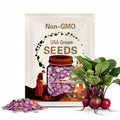 Radish (seeds) Pusa Jamuni, Tasty Purple Root Vegetable, Easy to Grow Fresh Edible Live Plant for Garden Container, Rare Gift for Gardener(10 Seeds)