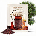 Dragon’s Blood Tree Seeds | 20/100/200 Exotic Dracaena Draco | Bonsai Palm(20 Seeds)