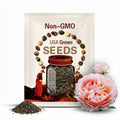 Princesse Charlene de Monaco Rose Seeds  - Perennial - Authentic Seeds - Flowers - Easy To Grow - Climbing - Rose Garden(1 Seeds)