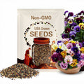 Mix Pansy Viola × wittrockiana Seeds - Open-Pollinating - Self-Pollinating - Plant in late Summer/Spring - 20+ Seeds(20 Seeds)