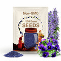Deep Blue Delta Pansy Seeds - Cold Resistant - Open-Pollinating - Self-Pollinating - Draft Resistant - Plant in late Summer/Spring(10 Seeds)