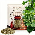 Beit Alpha Cucumber Seeds 10+ Persian Vegetable Garden NON-GMO USA(10 Seeds)