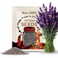 Lavender Seeds - Organic, Heirloom, Open Pollinated, Non GMO - Grow Indoors, Outdoors, In Pots, Grow Beds, Soil, Hydroponics, Aquaponics(20 Seeds)