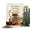 8/40/80 MOTHERWORT (Lions Tail / Heartwort) Leonurus Cardiaca Herb Flower Seeds(8 Seeds)