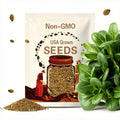 20/100/200+ Bok Choy Seeds for Planting - Cải Thìa - AKA. Pak Choi, Chinese Cabbage, Bok Choi, Heirloom, Non-GMO Vegetable Variety(20 Seeds)