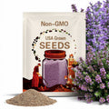 Creeping Thyme Seeds: Thymus serpyllum, Purple Shade Flowers(20 Seeds)