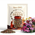 40/200/400 Mixed Chrysanthemum Seeds | Perennial Flower Mix | Colorful Blooms(40 Seeds)