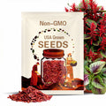 1400/7000/14000+ Red Green Bicolor Edible AMARANTH Chinese Spinach Seeds- Vietnamese Rau(1400 Seeds)