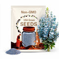 Baby Blue Eucalyptus Seeds – 2/10/20 Seeds | Aromatic Foliage, Fast-Growing Blue-Green Leaves for Gardens  Containers(2 Seeds)