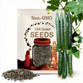 6/30/60pcs Asian Suyo Long Cucumber Seeds – Heirloom, Non-GMO China Long Hybrid – Complete Growing Guide Included(6 Seeds)