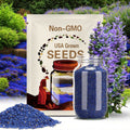 Blue Creeping Thyme Seeds, Thymus Serpyllum Herb, Ground Cover Plant, Flower Seeds, Gardening Present(20 Seeds)
