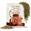 6/30/60 Hanging Basket Strawberry Seeds(6 Seeds)