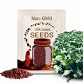 Russian Red Kale 20/100/200 Seeds, Tronchuda Beira, Open Pollinated Non GMO, Sea Kale, couve galega, Galician kale,  Beira Kale, Braganza cabbage(20 Seeds)