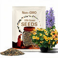 5/25/50 Seeds | Ice Cream Sundae Nasturtium Seeds Unique Bicolor Nasturtium Edible Flower Seeds For Planting Garden Non-GMO(5 Seeds)