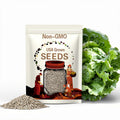 Iceberg Lettuce Seeds 100/500/1000+ Crisphead Vegetable Garden NON-GMO USA(100 Seeds)
