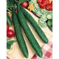 Tasty Jade F1 Cucumber Seeds(20 Seeds)