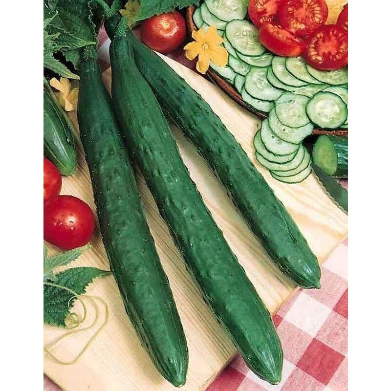 Tasty Jade F1 Cucumber Seeds(20 Seeds)