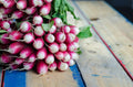 Bulk 50/250/500 French Breakfast Radish Seeds, Heirloom, Specialty Vegetable(50 Seeds)