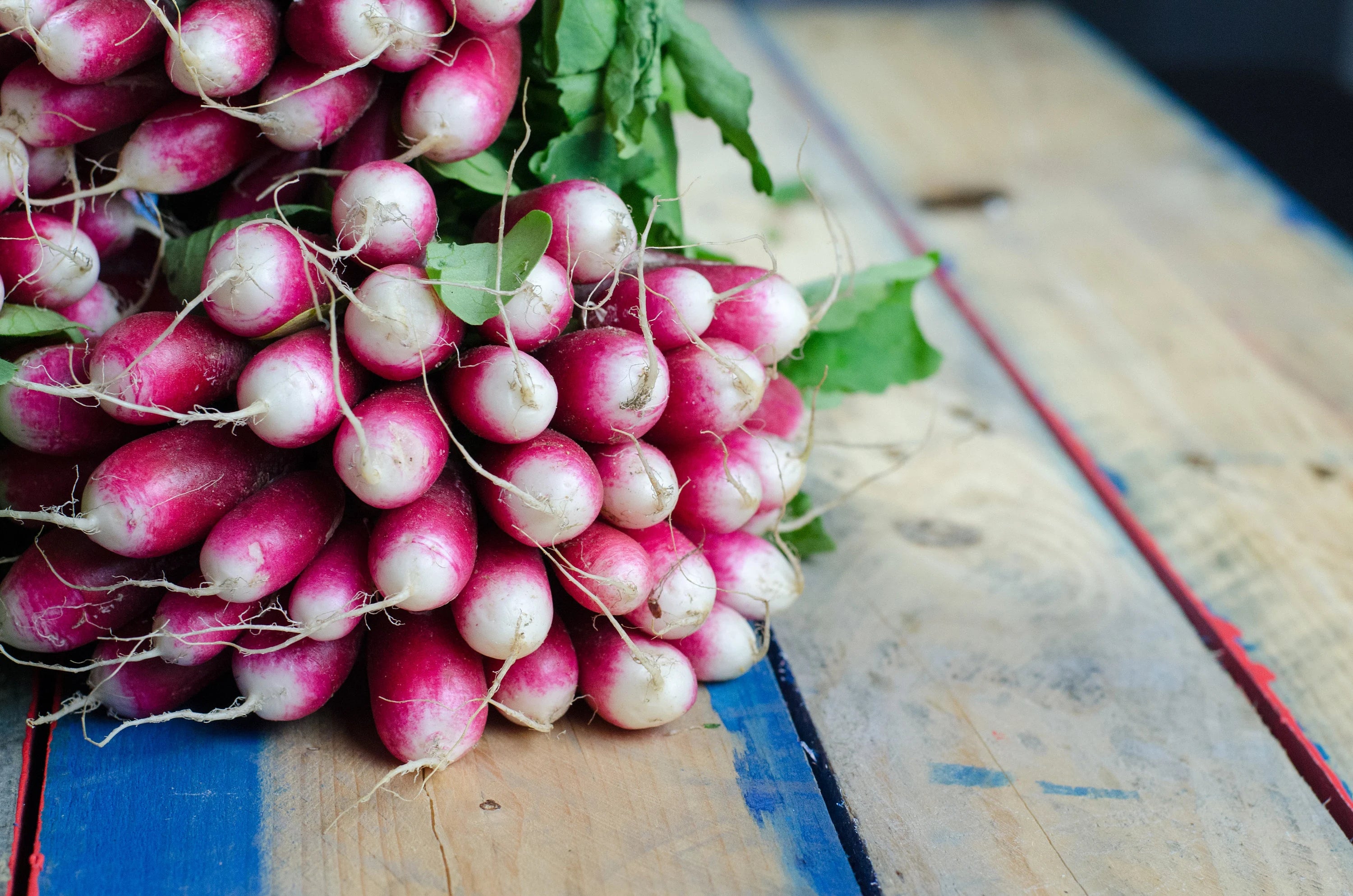Bulk 50/250/500 French Breakfast Radish Seeds, Heirloom, Specialty Vegetable(50 Seeds)