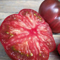 Varsovia Polish Heirloom Tomato Seeds(2 Seeds)