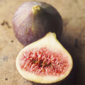 20/100/200 Black Madeira Fig Seeds: Rare, Sweet  Easy Grow(20 Seeds)