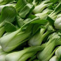 Bok Choy White Stem Cabbage Heirloom Non-GMO Seeds(100 Seeds)