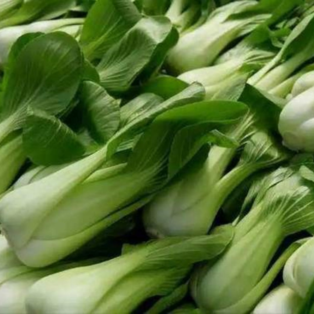 Bok Choy White Stem Cabbage Heirloom Non-GMO Seeds(100 Seeds)