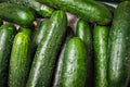 Sweet Success Cucumber Seeds(100 Seeds)